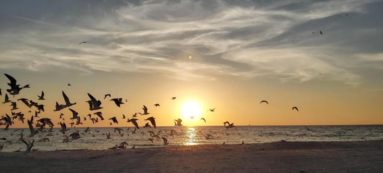 Sunset Vistas 211N Villa St. Pete Beach Exteriör bild